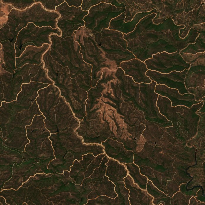 The area before the fire, July 26, 2026