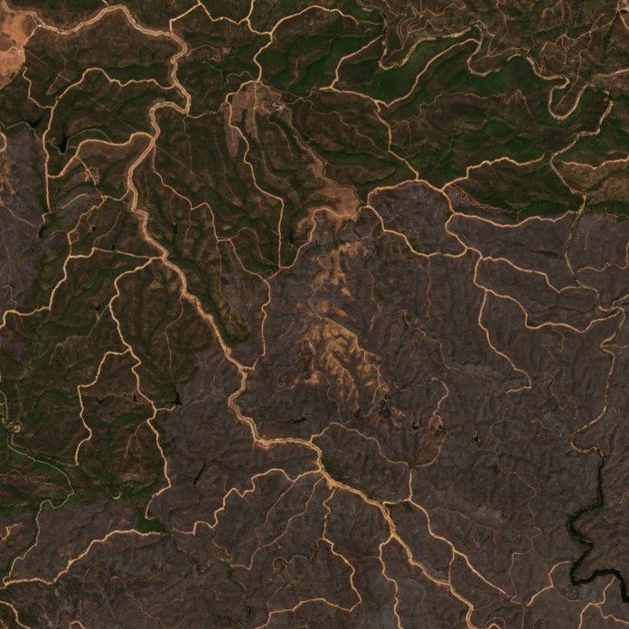 The area after the fire, August 15, 2026