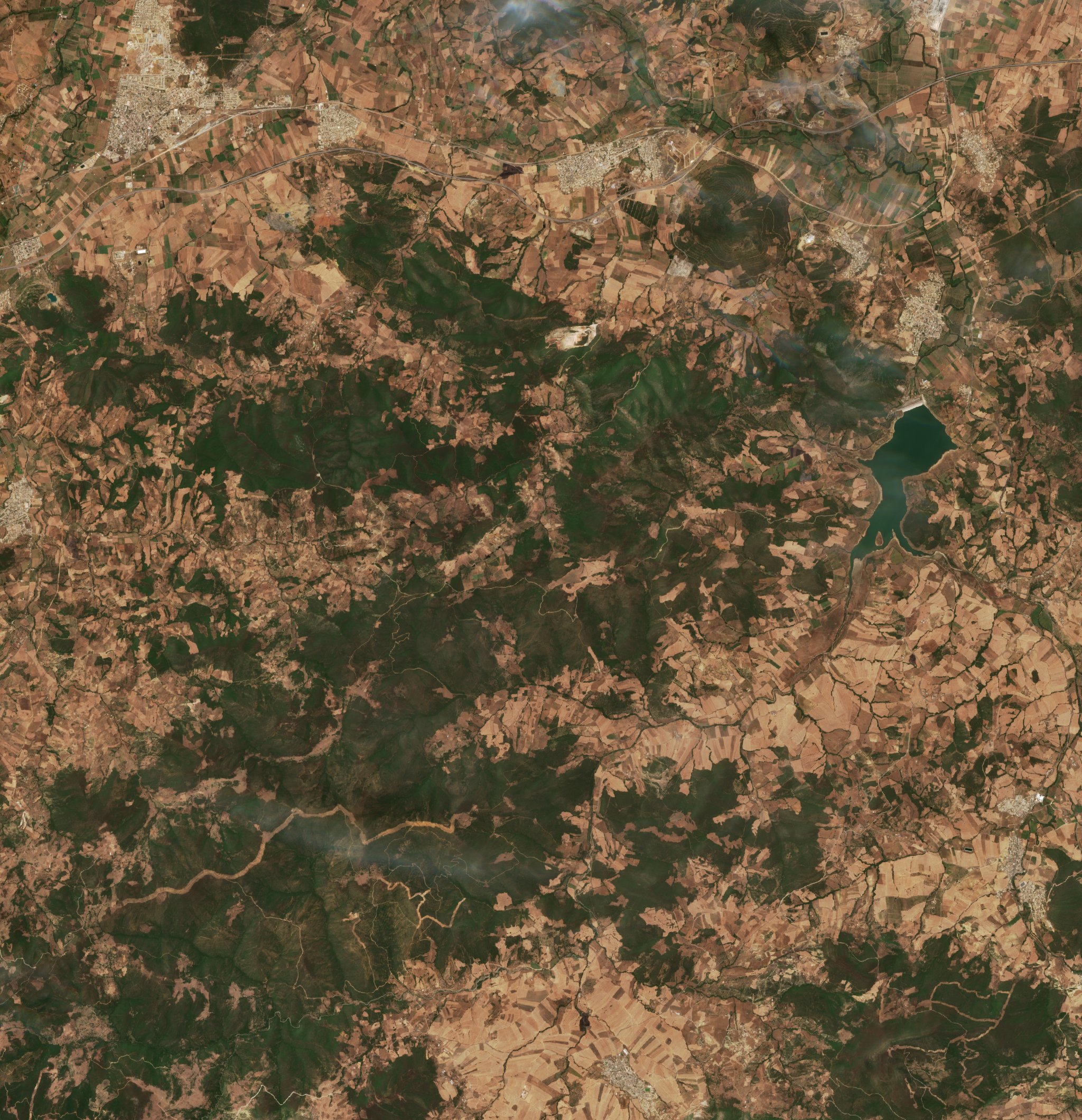 Sentinel-2 images