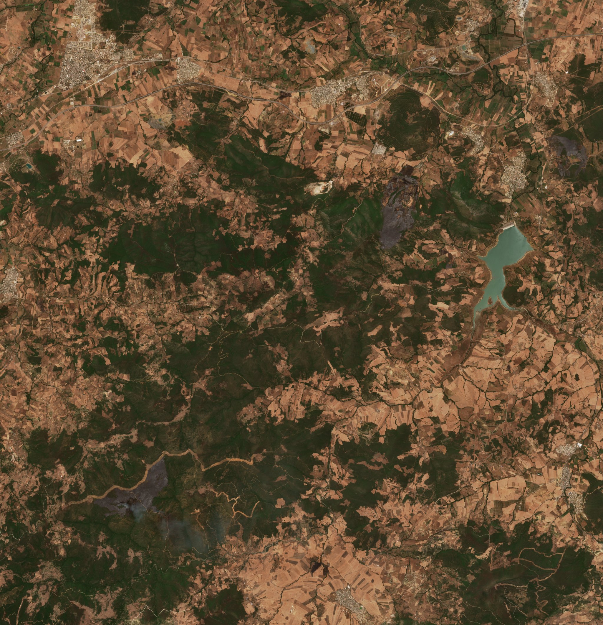 The area before the fire, July 14, 2026