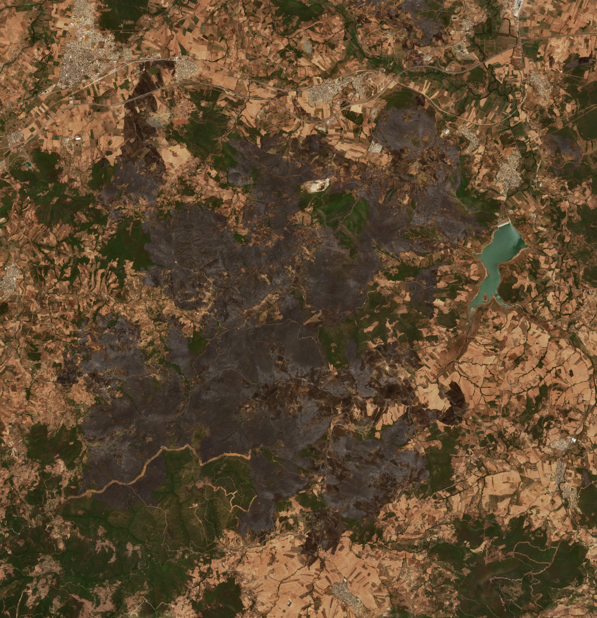 The area after the fire, July 24, 2026