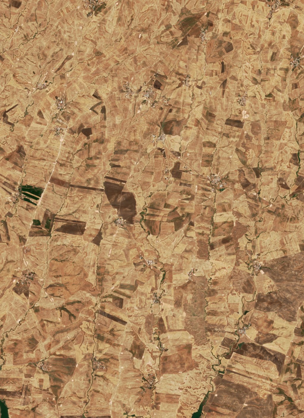 Sentinel-2 images