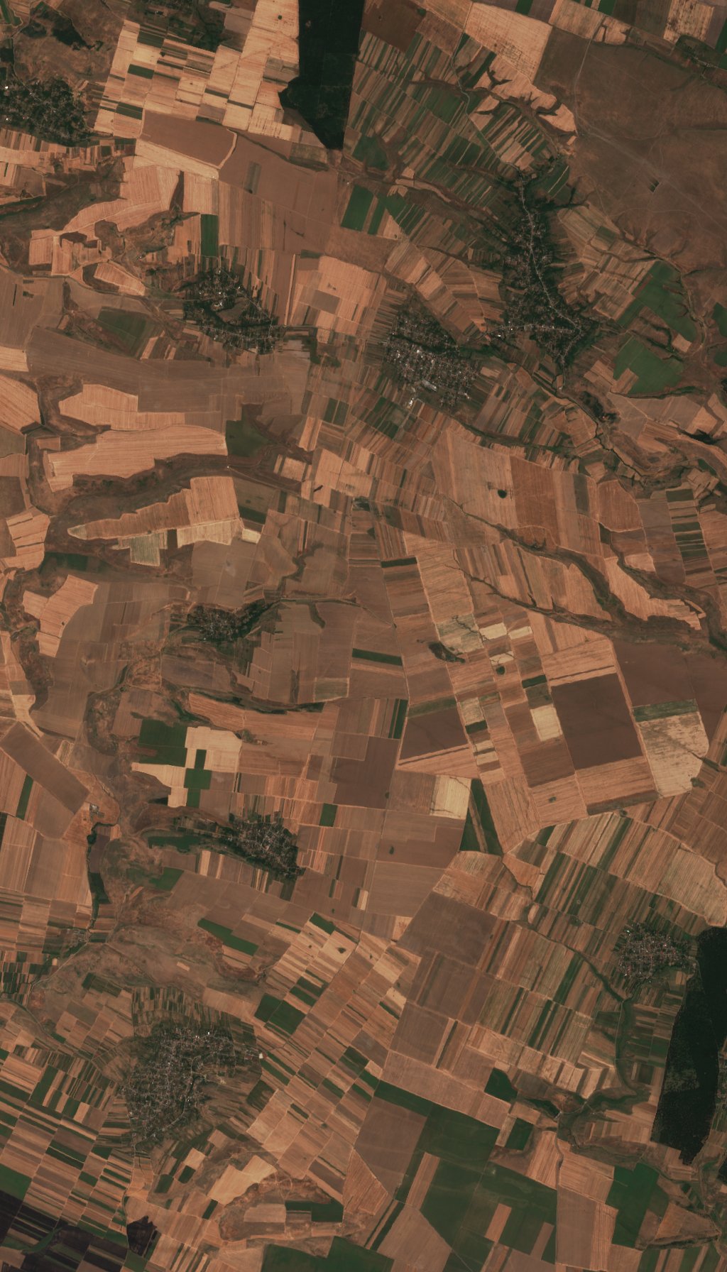 Sentinel-2 images