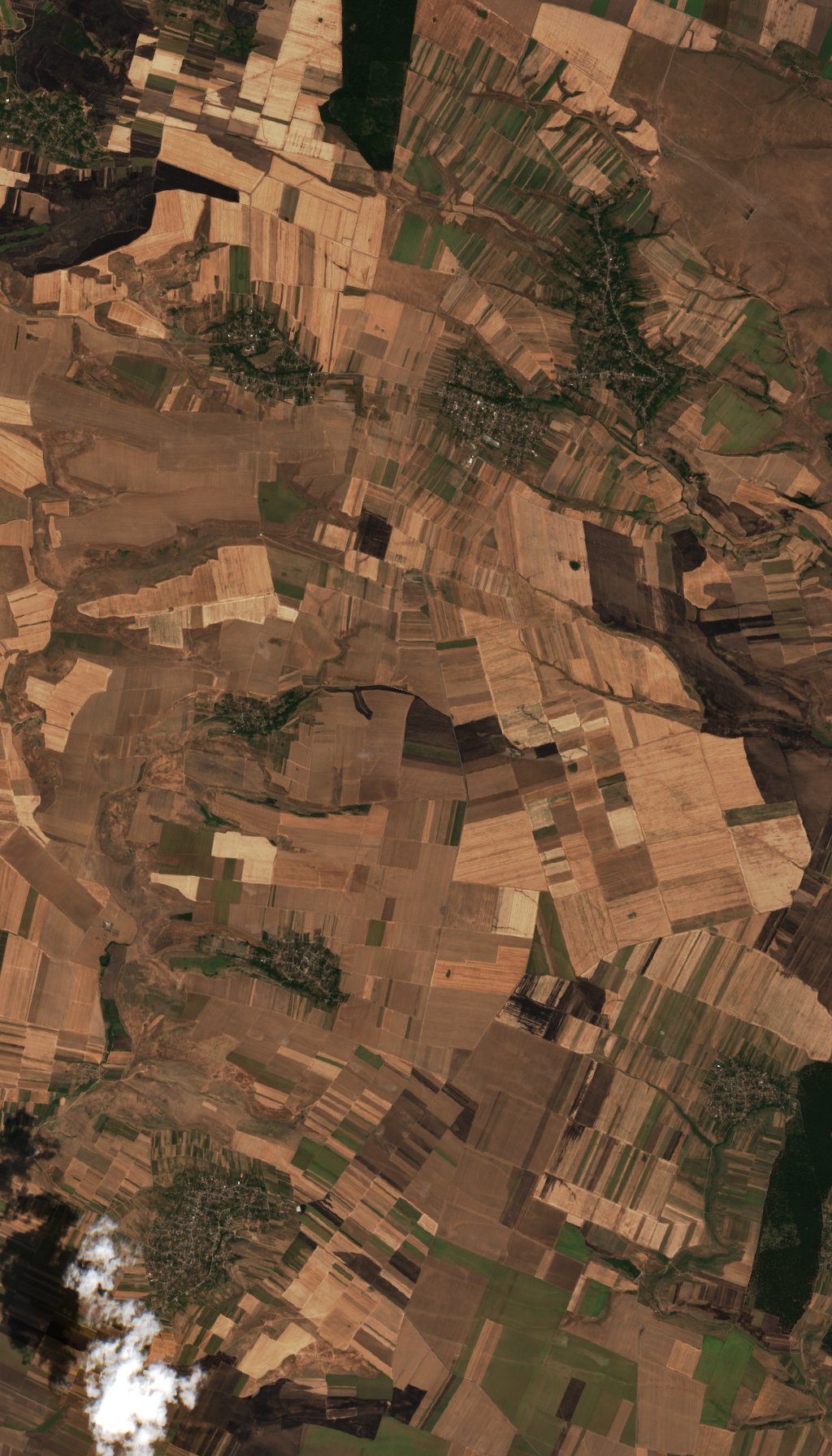 The area before the fire, August 3, 2026