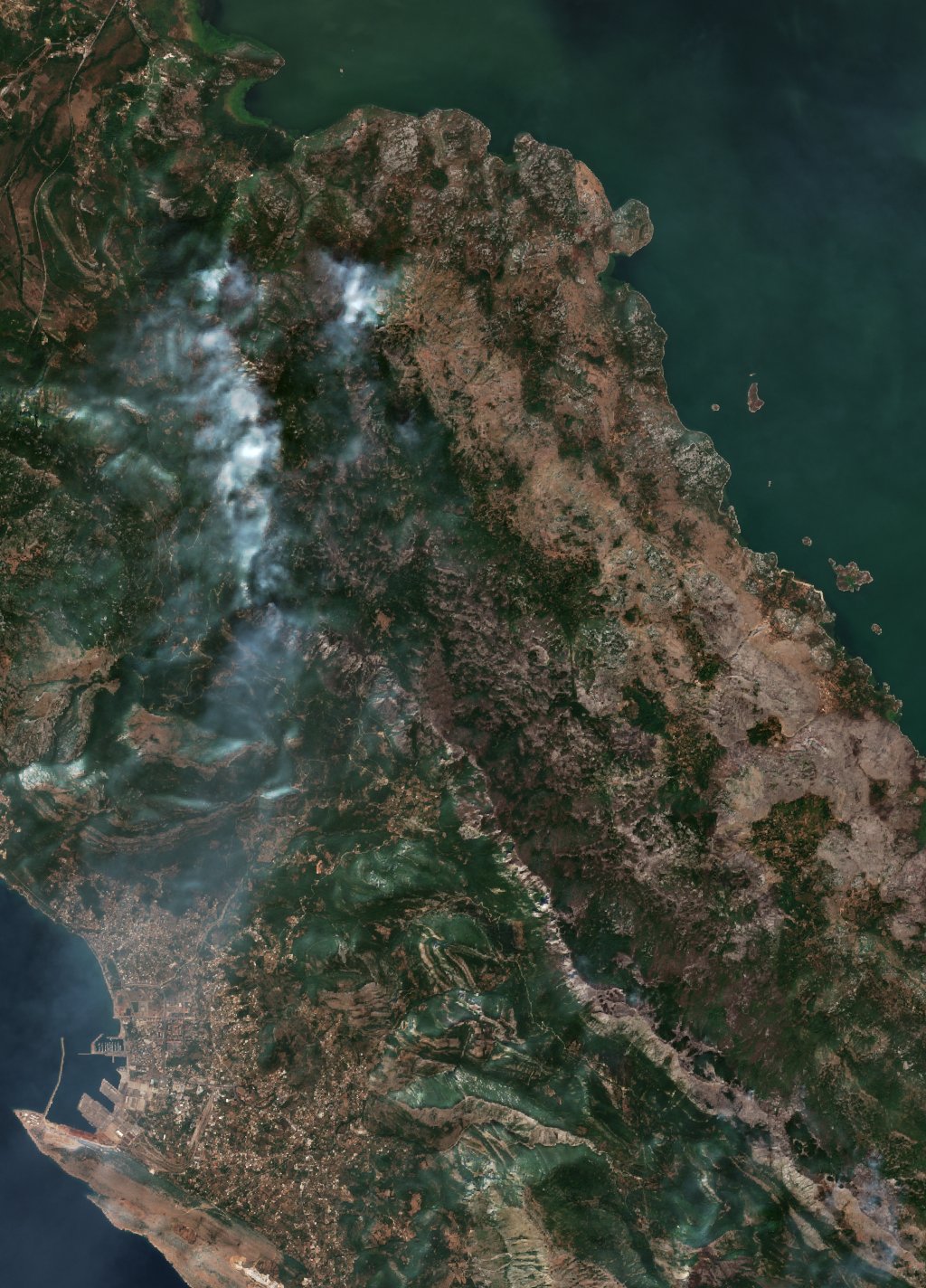 The area after the fire, August 25, 2017