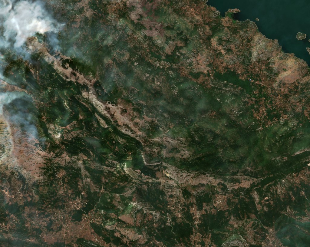 The area before the fire, August 10, 2017