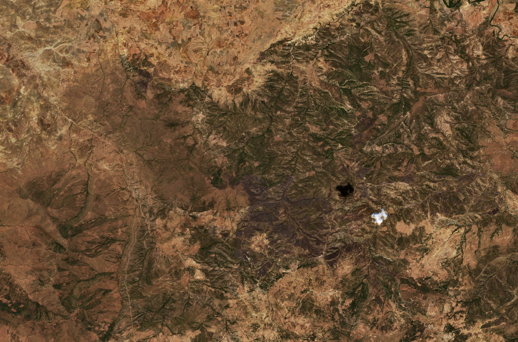 Sentinel-2 images