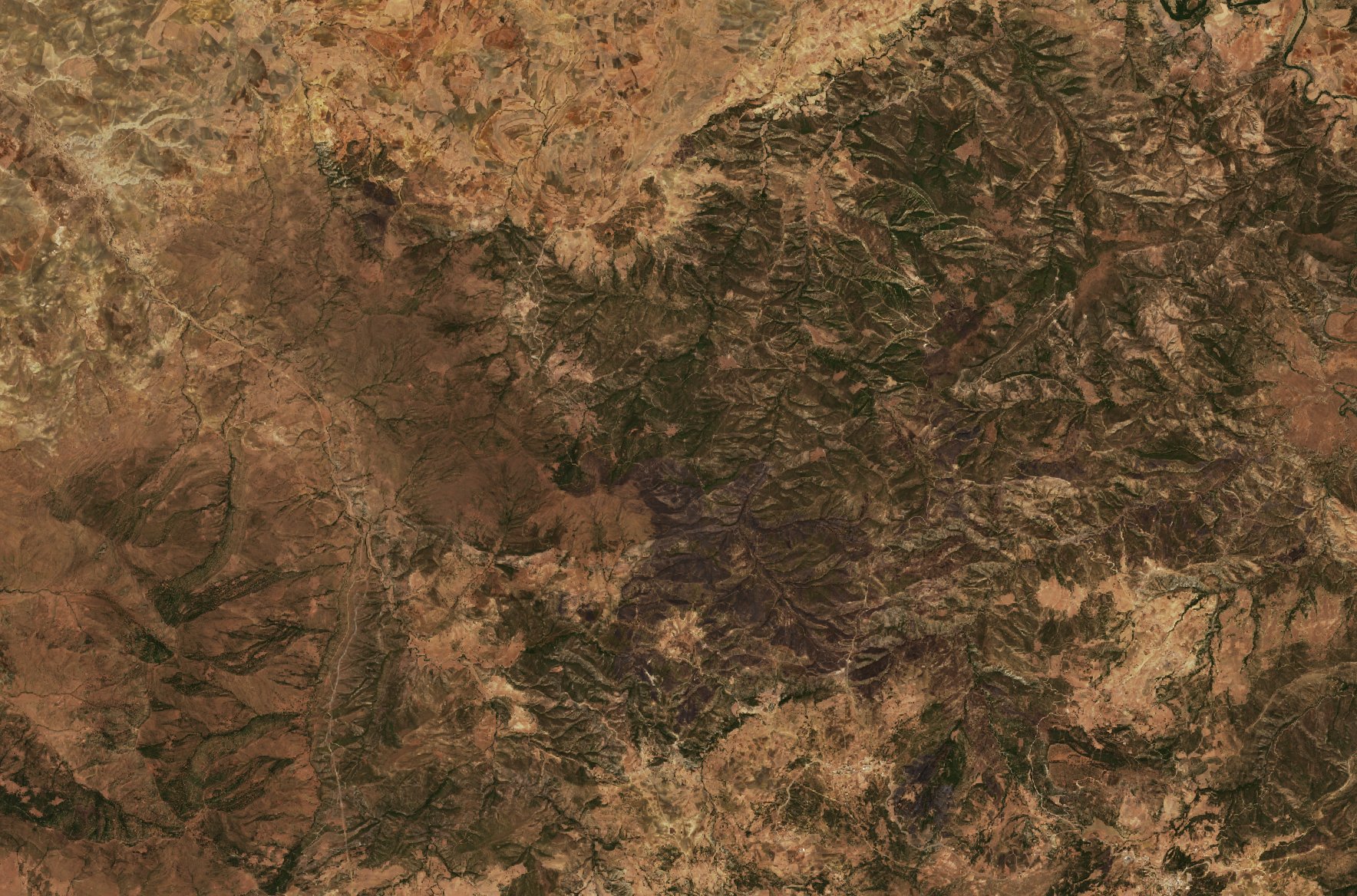 The area before the fire, August 5, 2020
