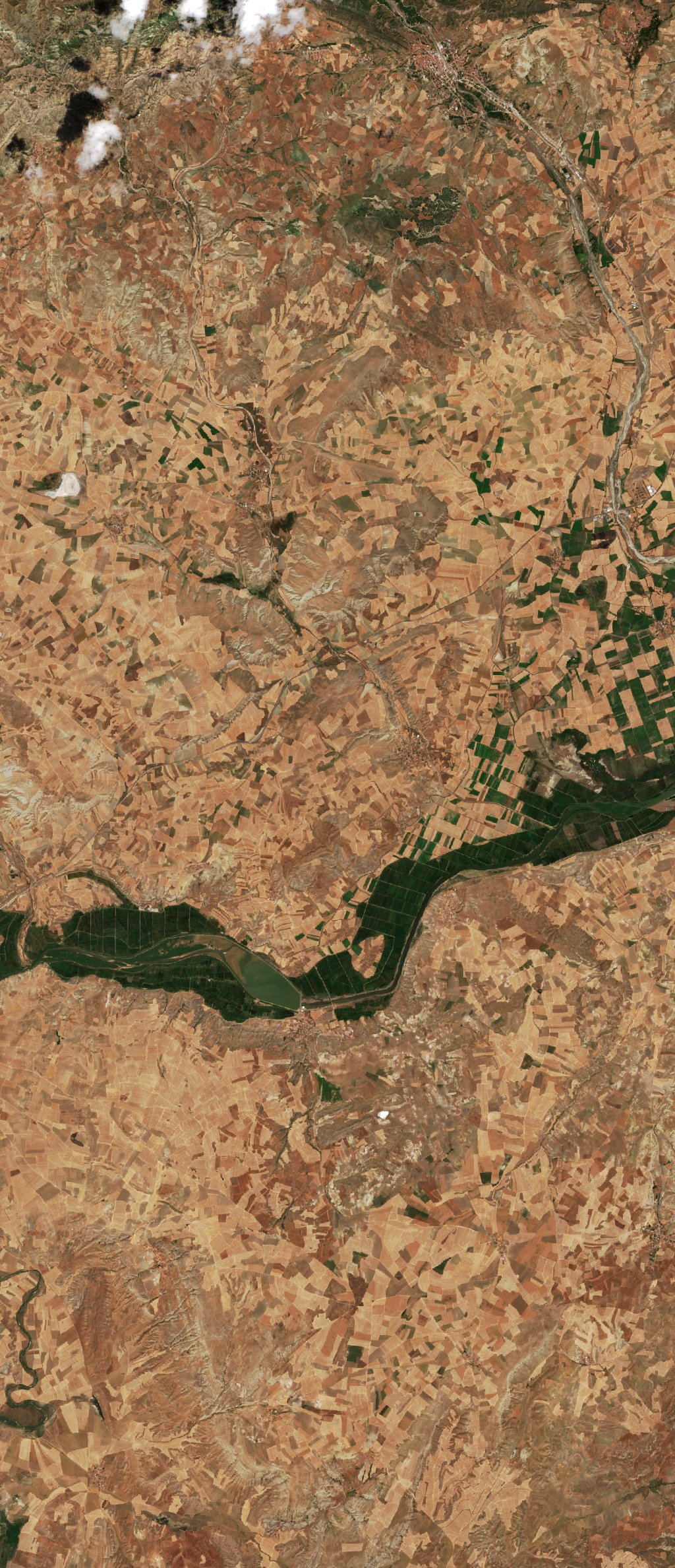 Sentinel-2 images