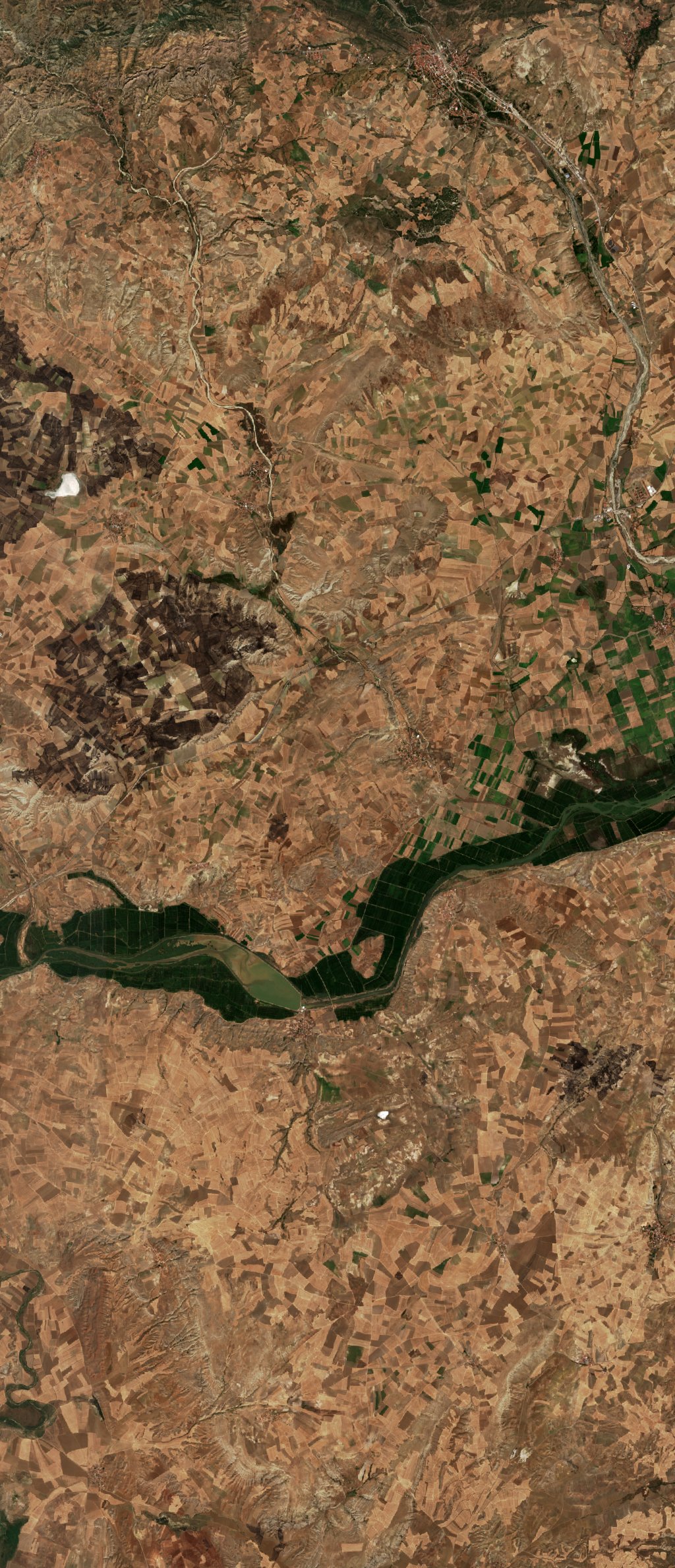 The area before the fire, August 8, 2026