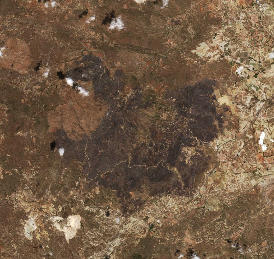 The area after the fire, July 13, 2026