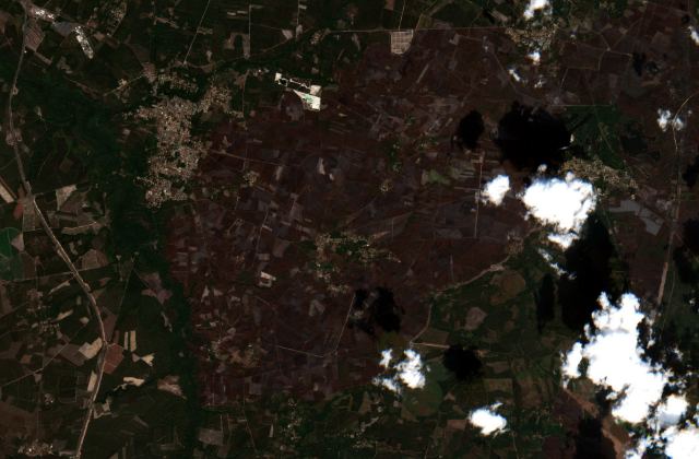 Satellite view near Belin-Béliet