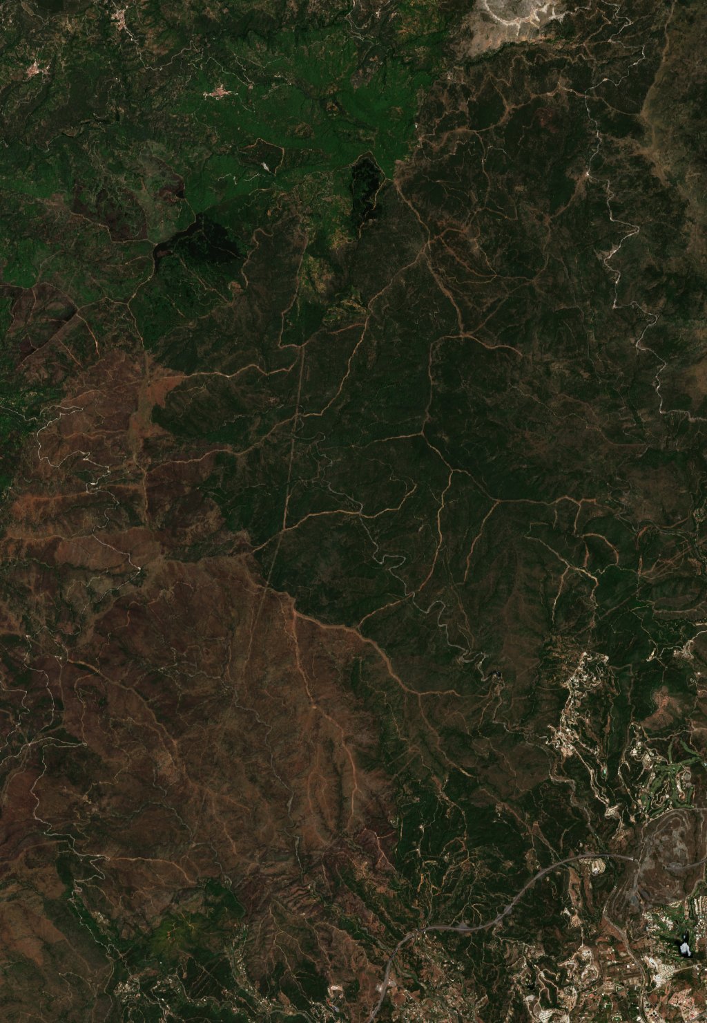 Sentinel-2 images