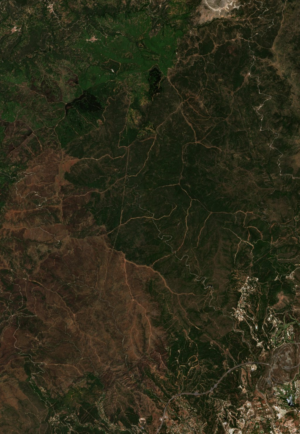 The area before the fire, June 5, 2022