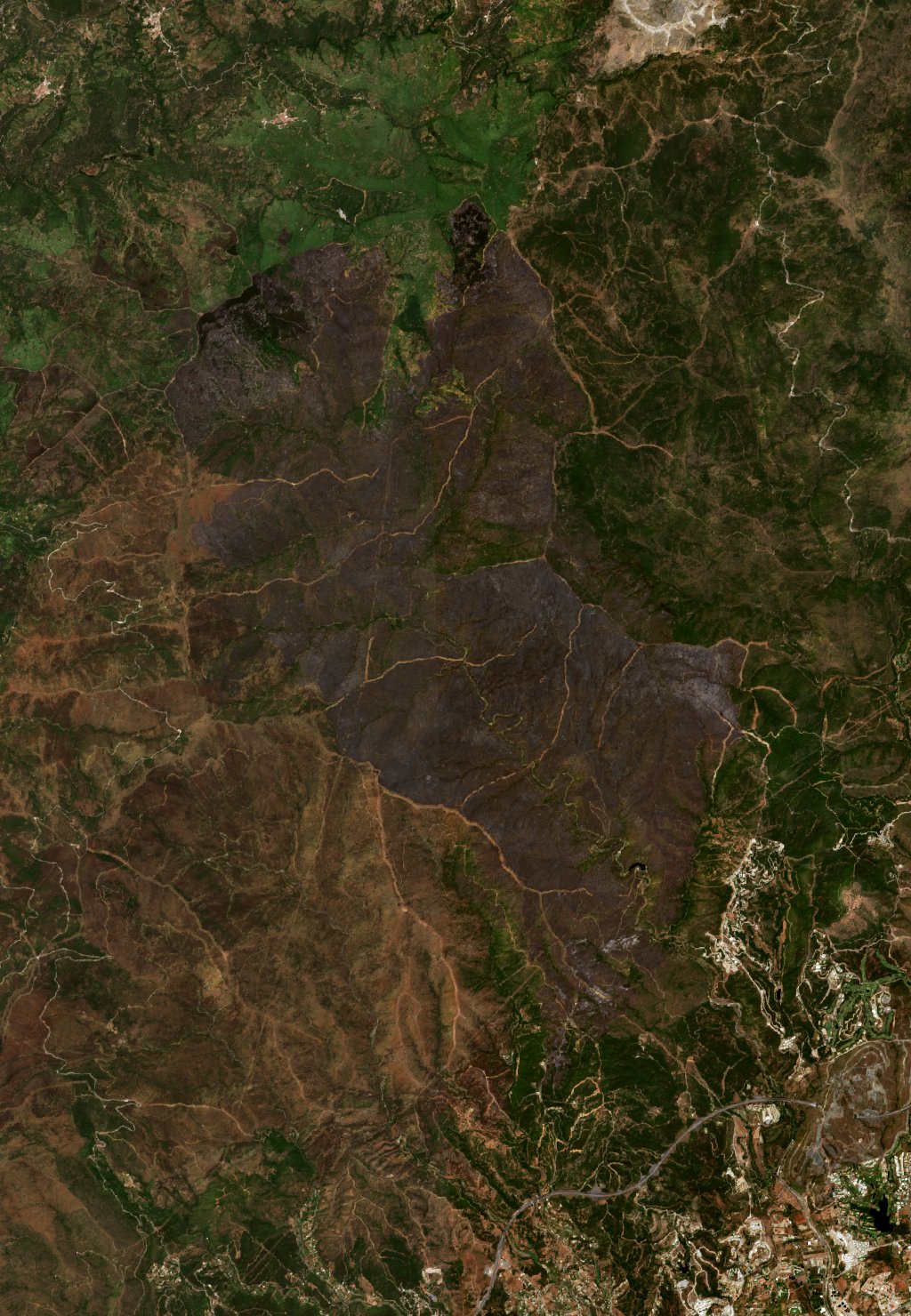The area after the fire, June 12, 2022