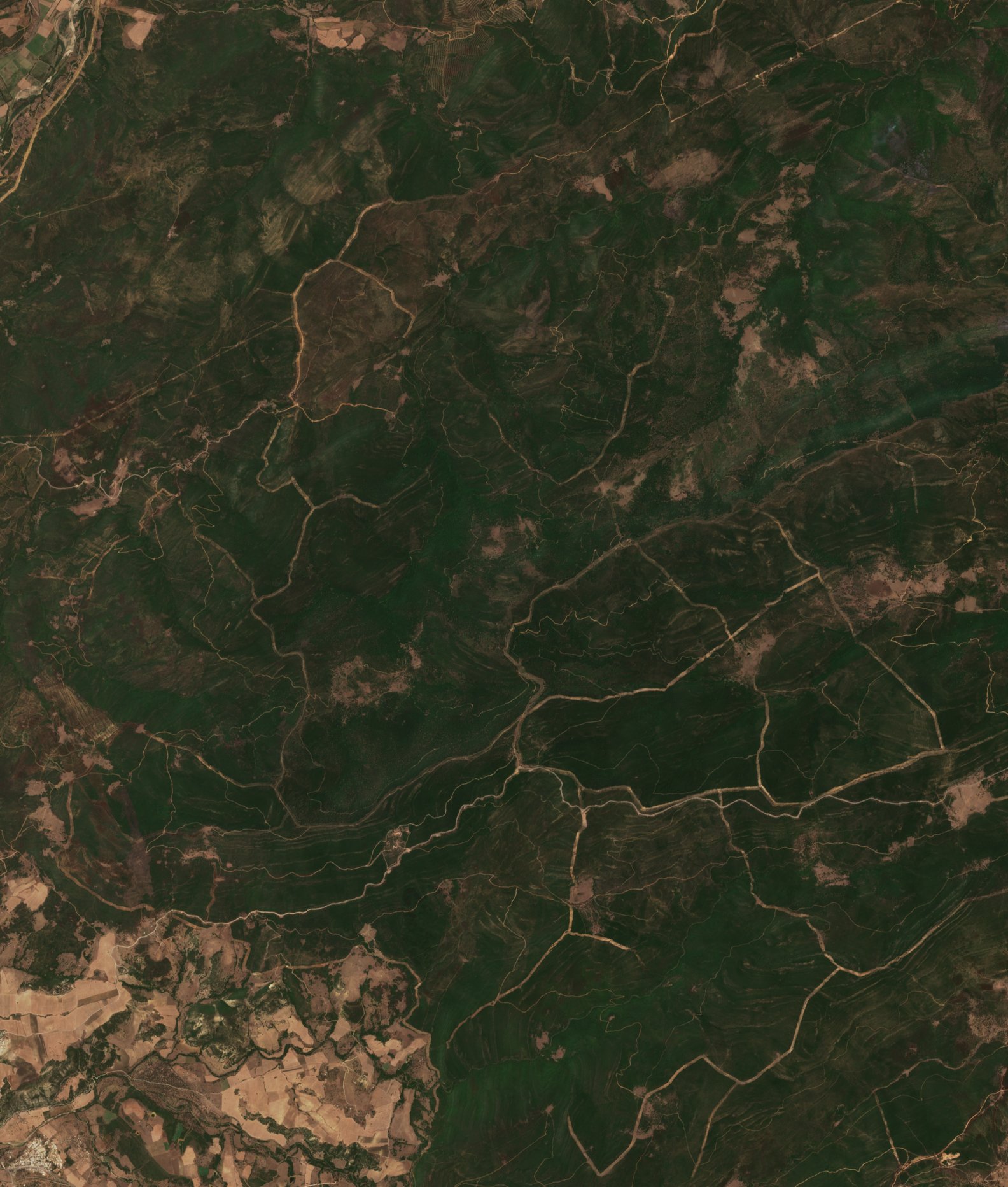 Sentinel-2 images