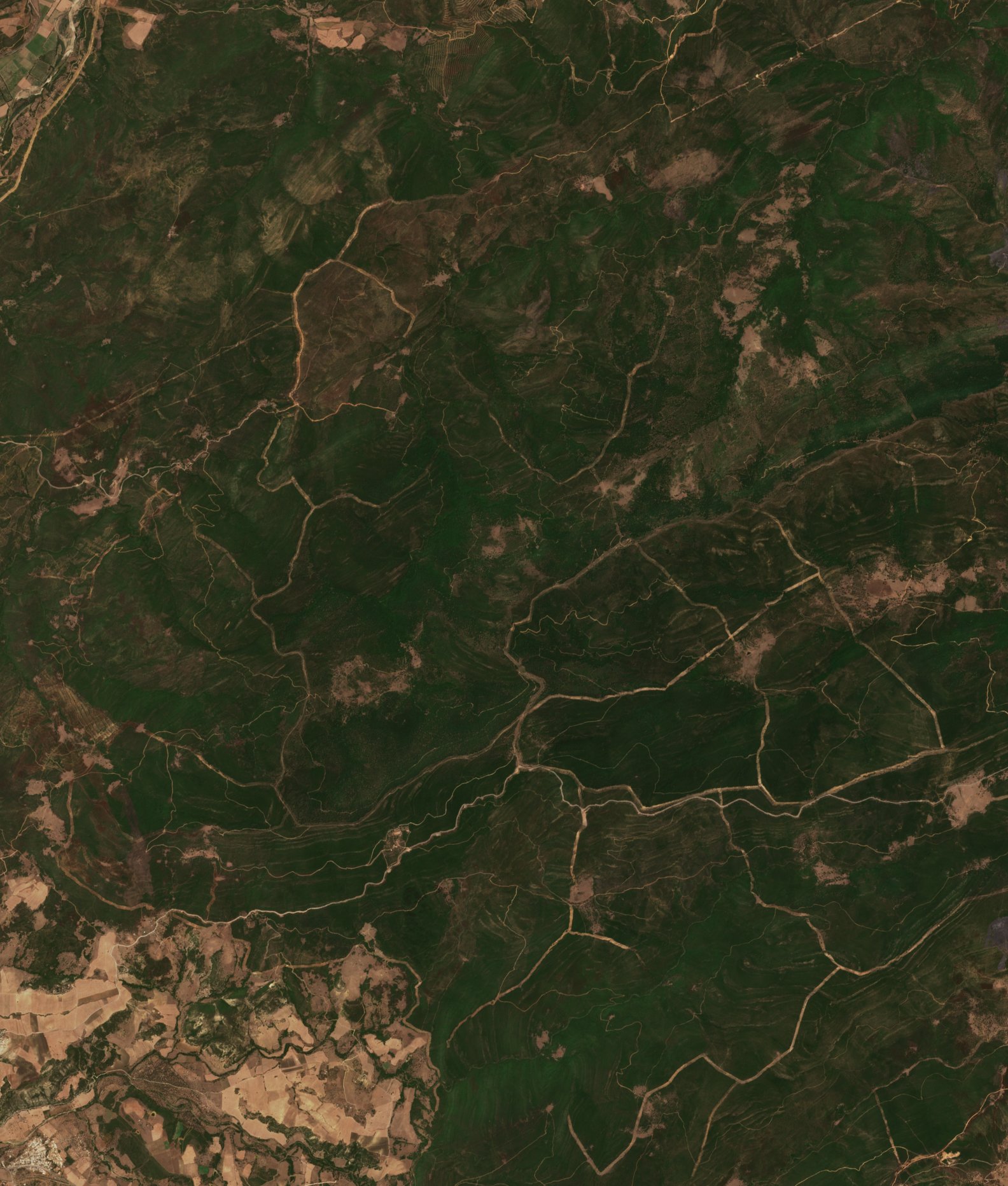 The area before the fire, July 13, 2017