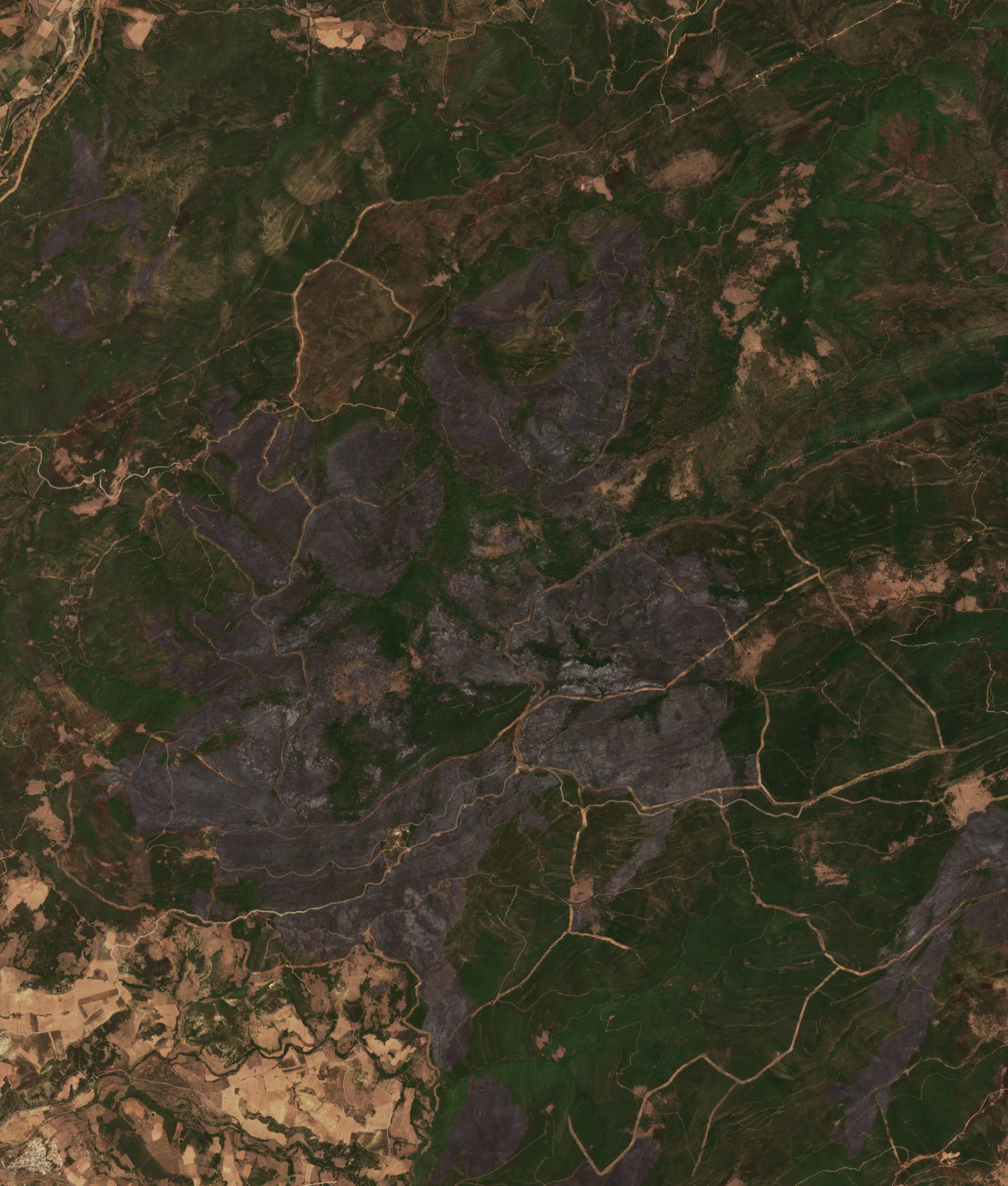 The area after the fire, August 7, 2017