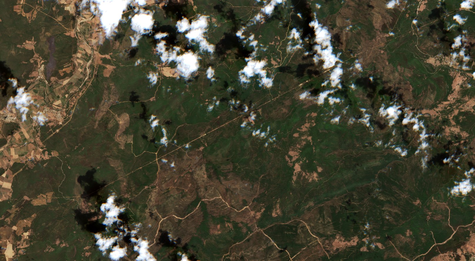 Sentinel-2 images