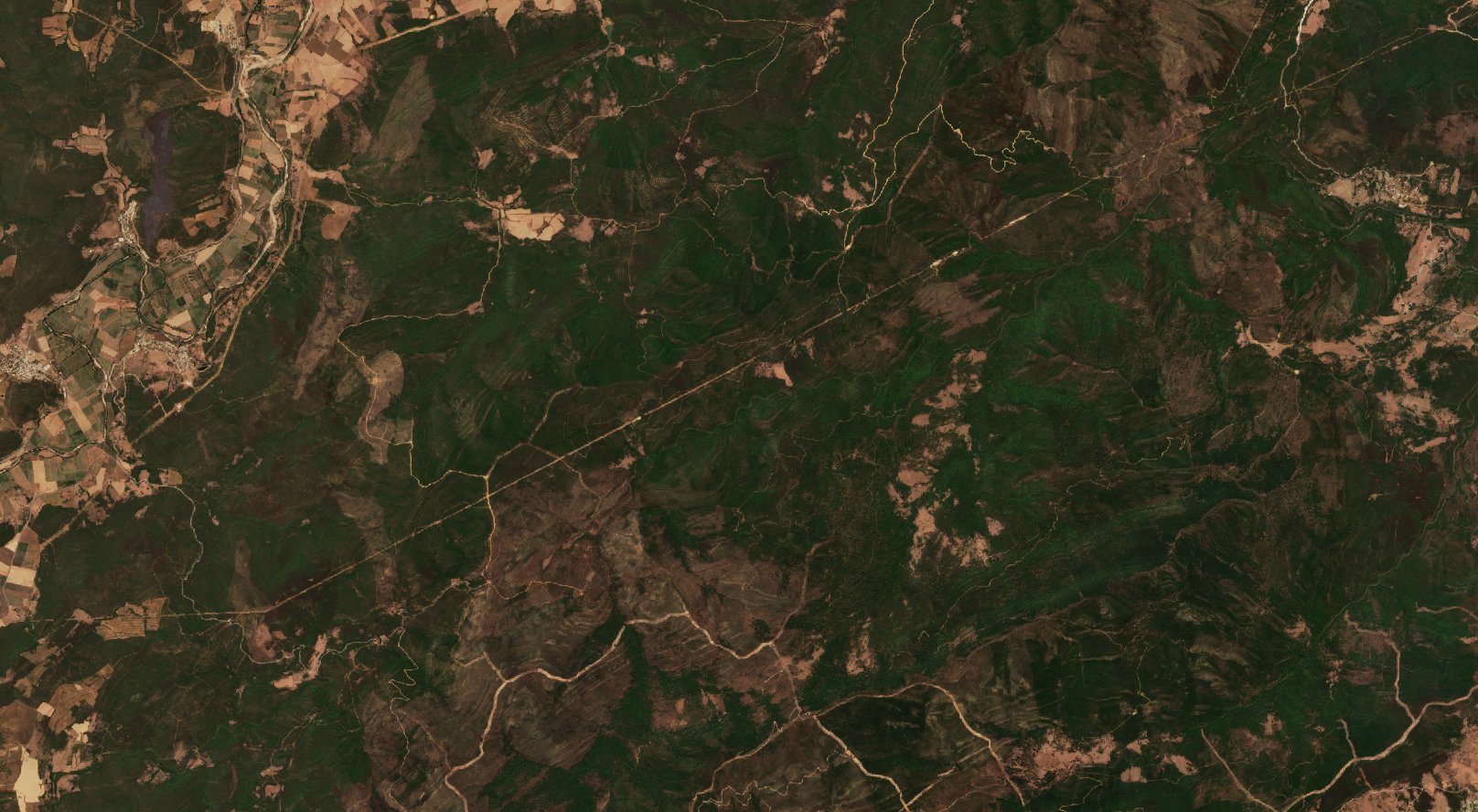 The area before the fire, August 11, 2022