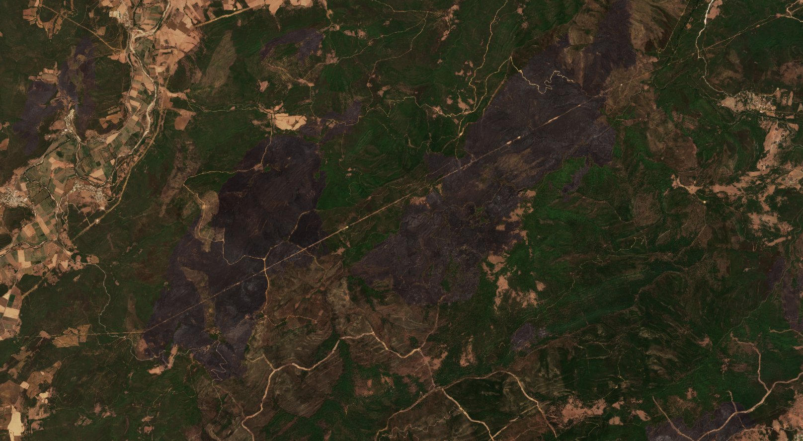 The area after the fire, August 21, 2022