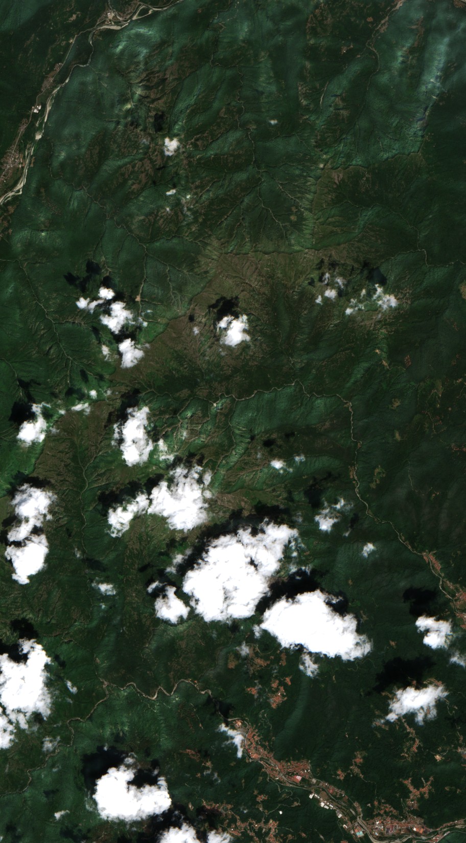 Sentinel-2 images
