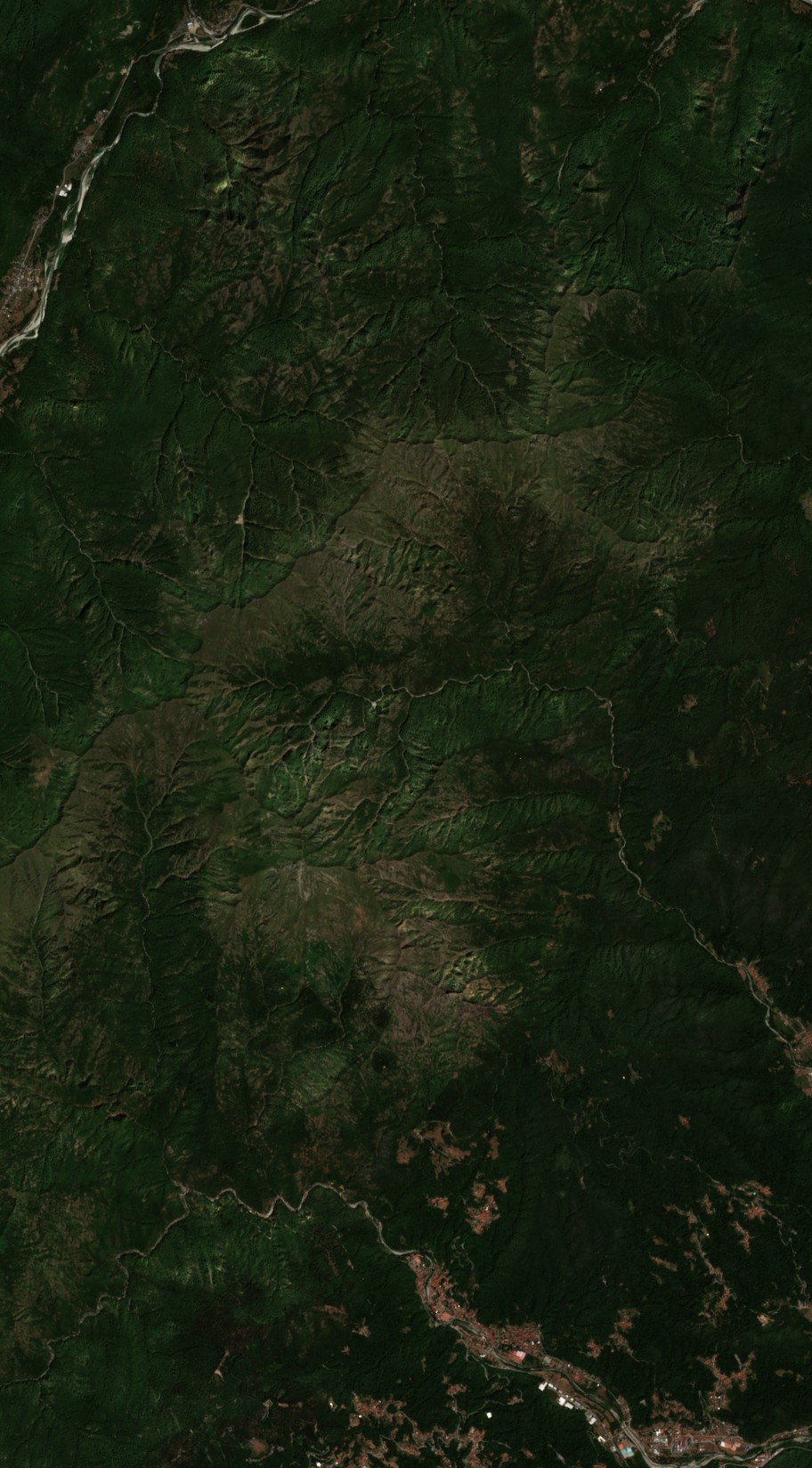 The area before the fire, July 24, 2026