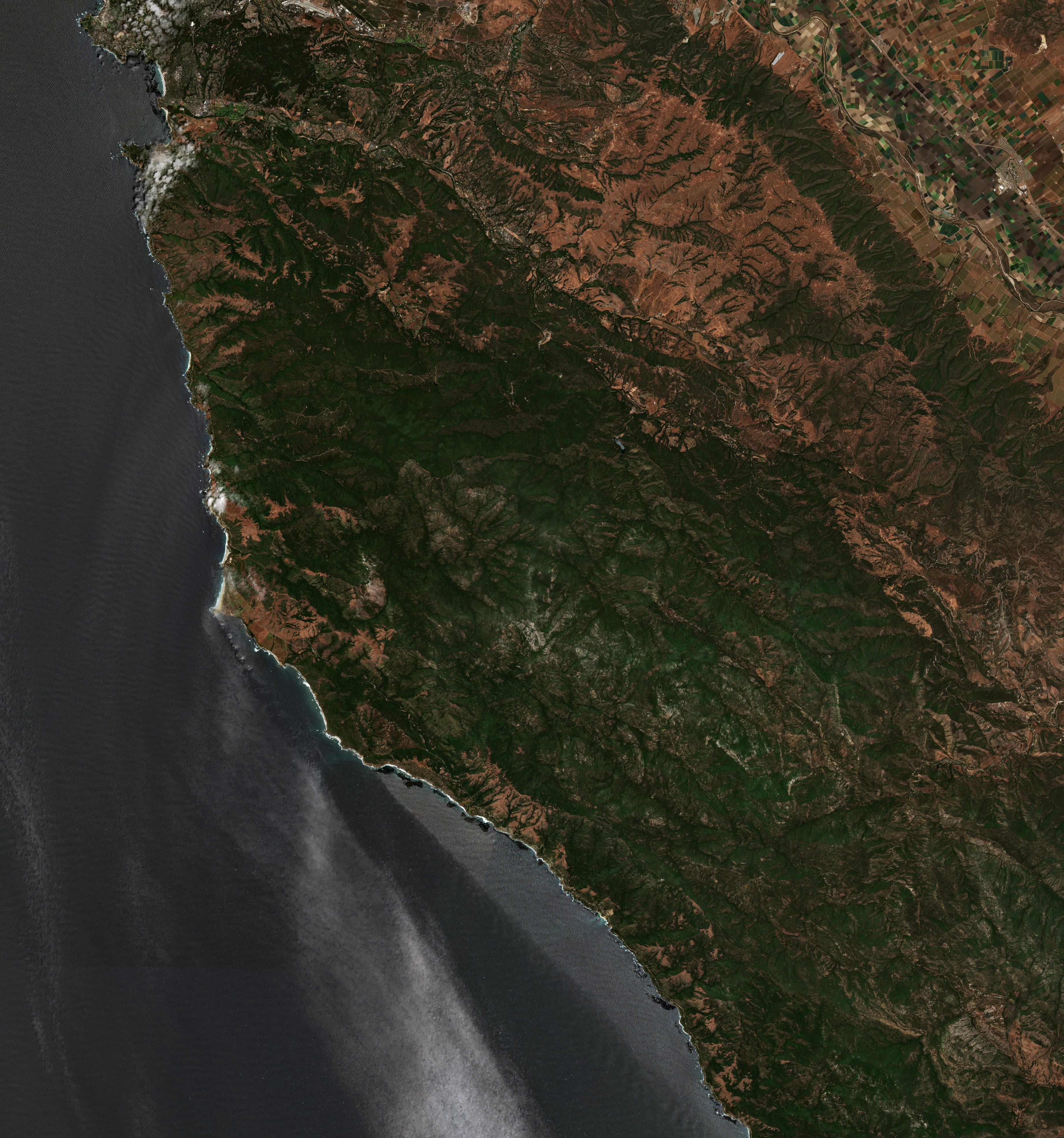 The area before the fire, June 24, 2016