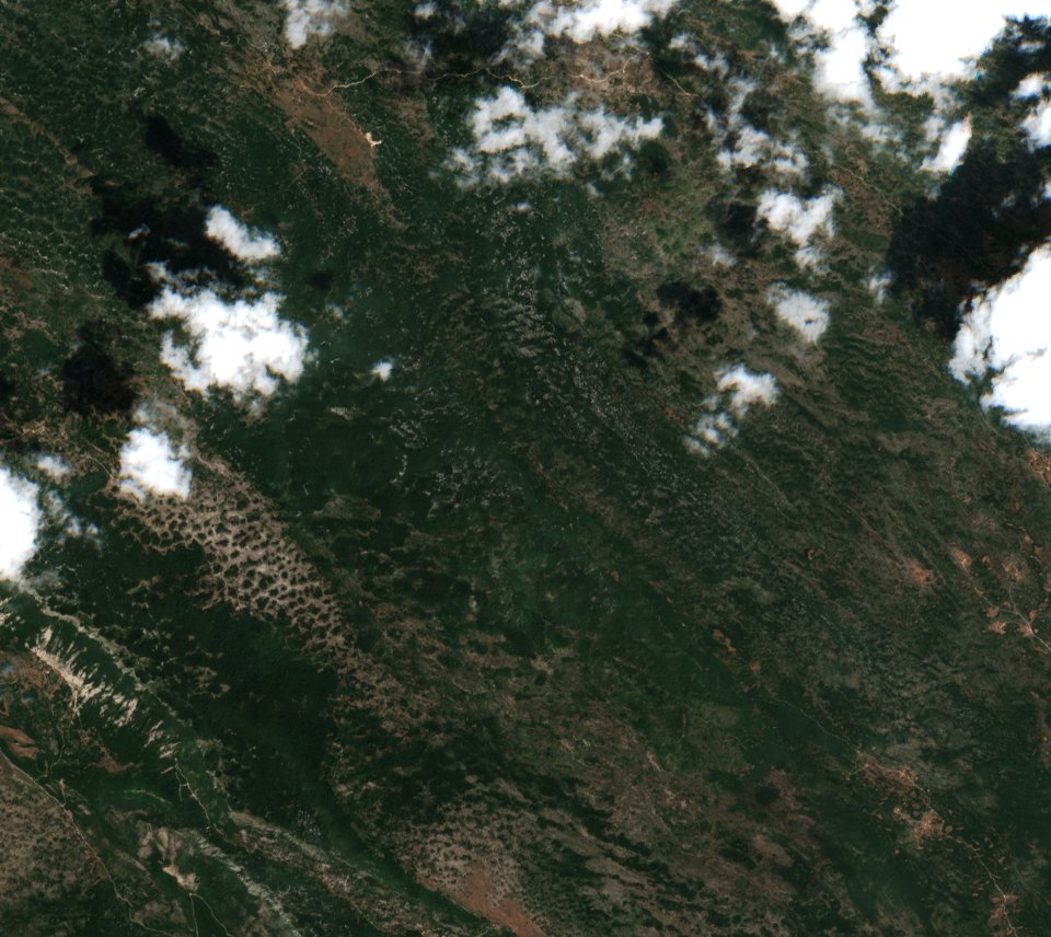 Sentinel-2 images