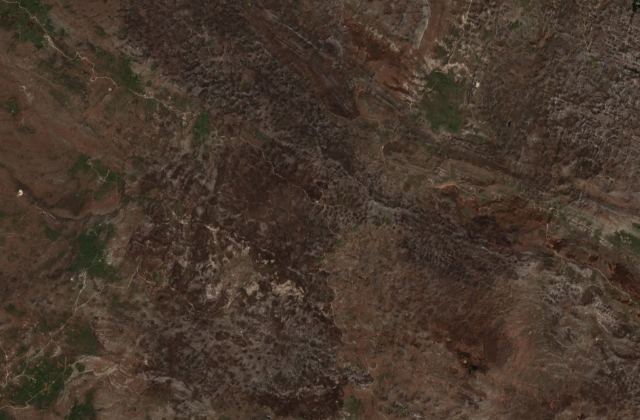 Burned area near Bileća from space