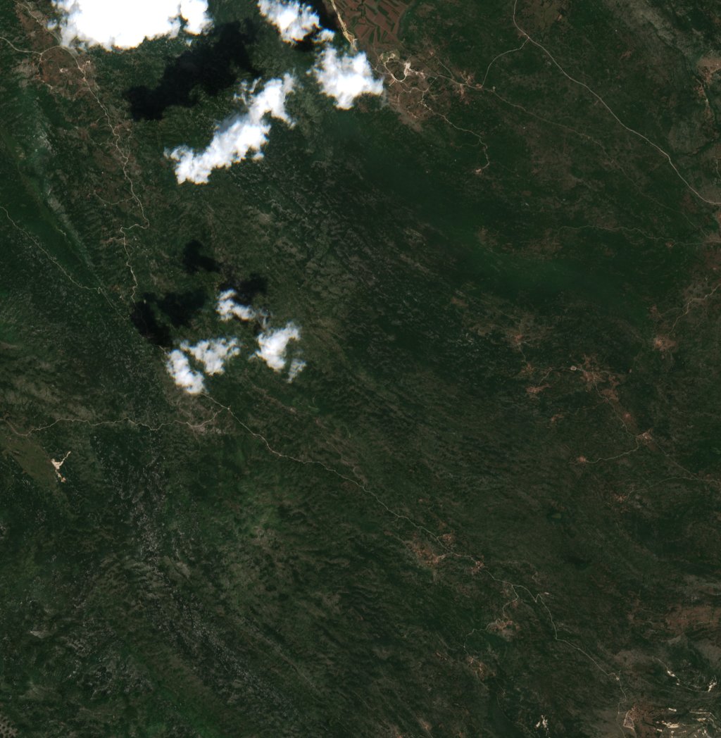 Sentinel-2 images