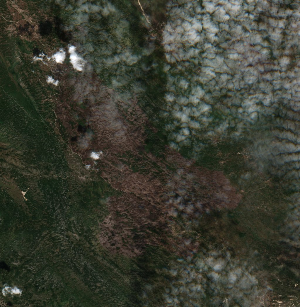 The area after the fire, August 21, 2024