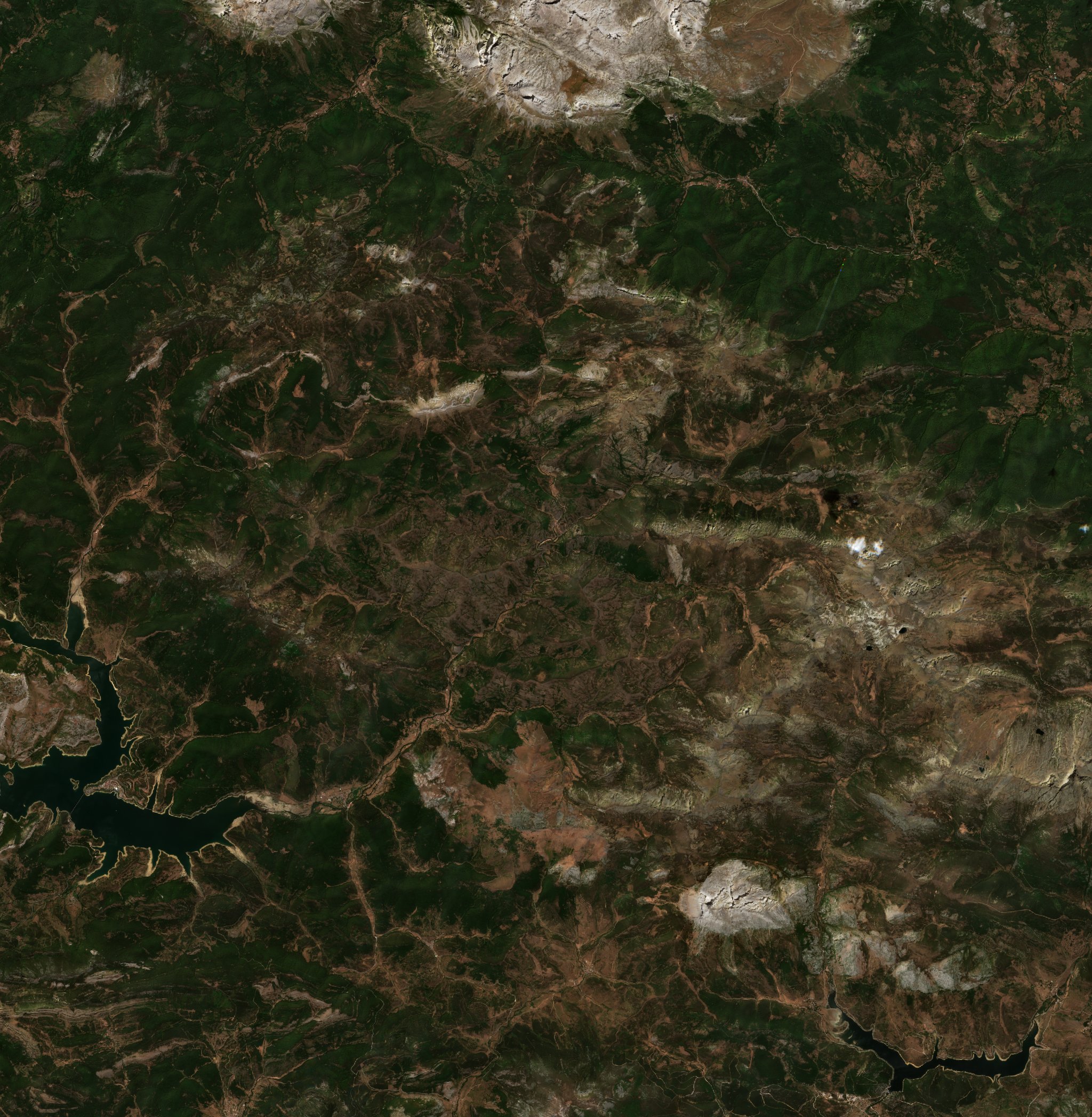 Sentinel-2 images