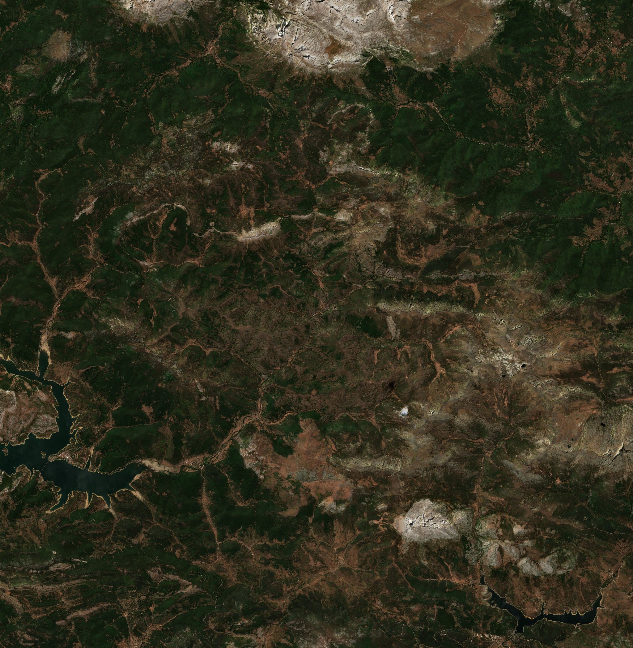 The area before the fire, August 10, 2025