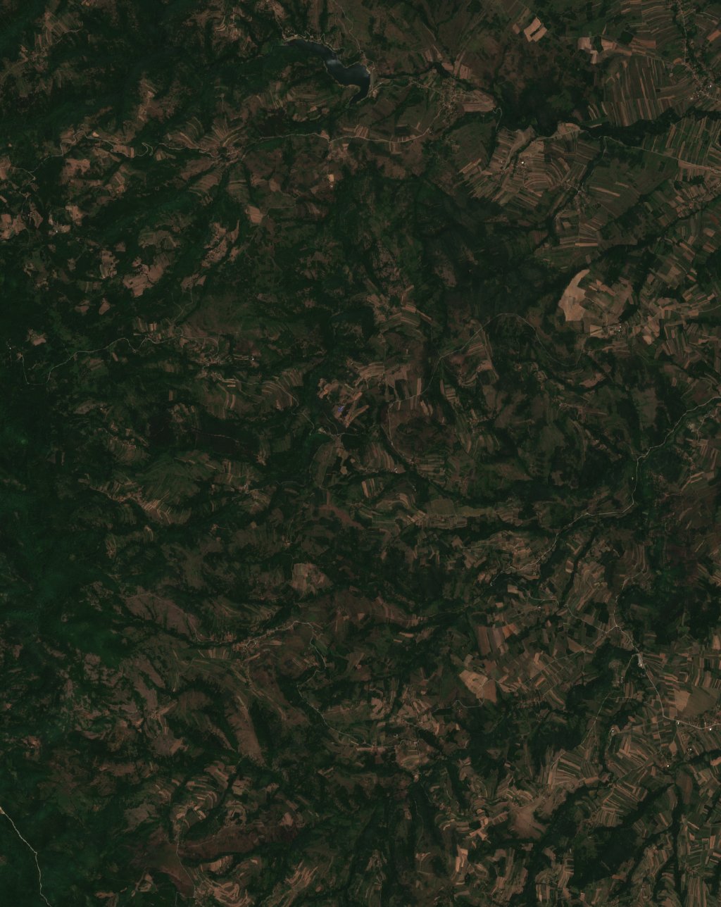 Sentinel-2 images