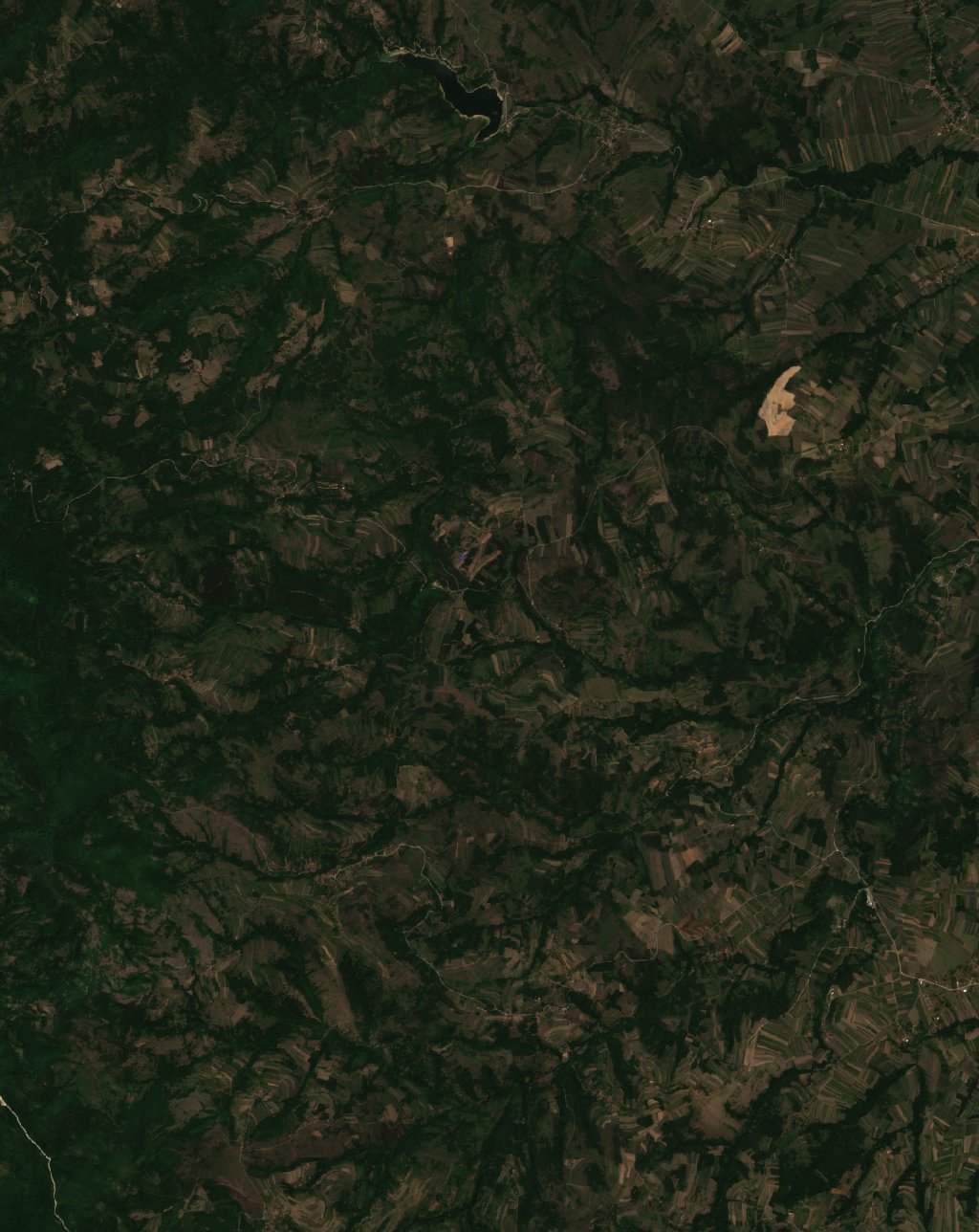 The area before the fire, August 3, 2026