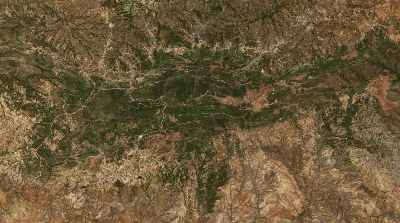 The area before the fire, June 30, 2020