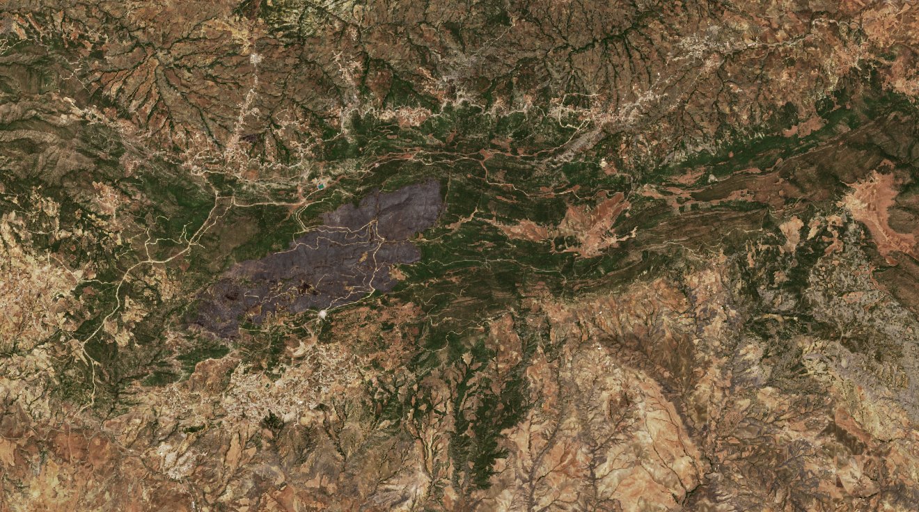 The area after the fire, July 5, 2020