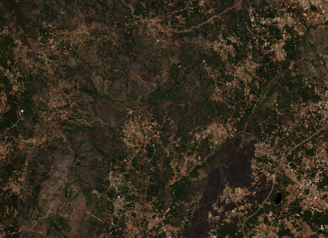 The area before the fire, August 6, 2026