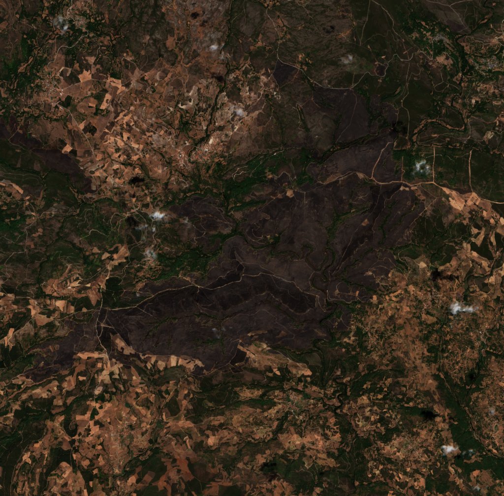 The area after the fire, August 21, 2026