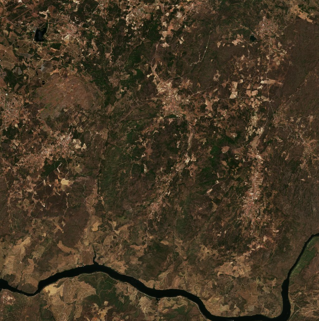 The area before the fire, July 29, 2026
