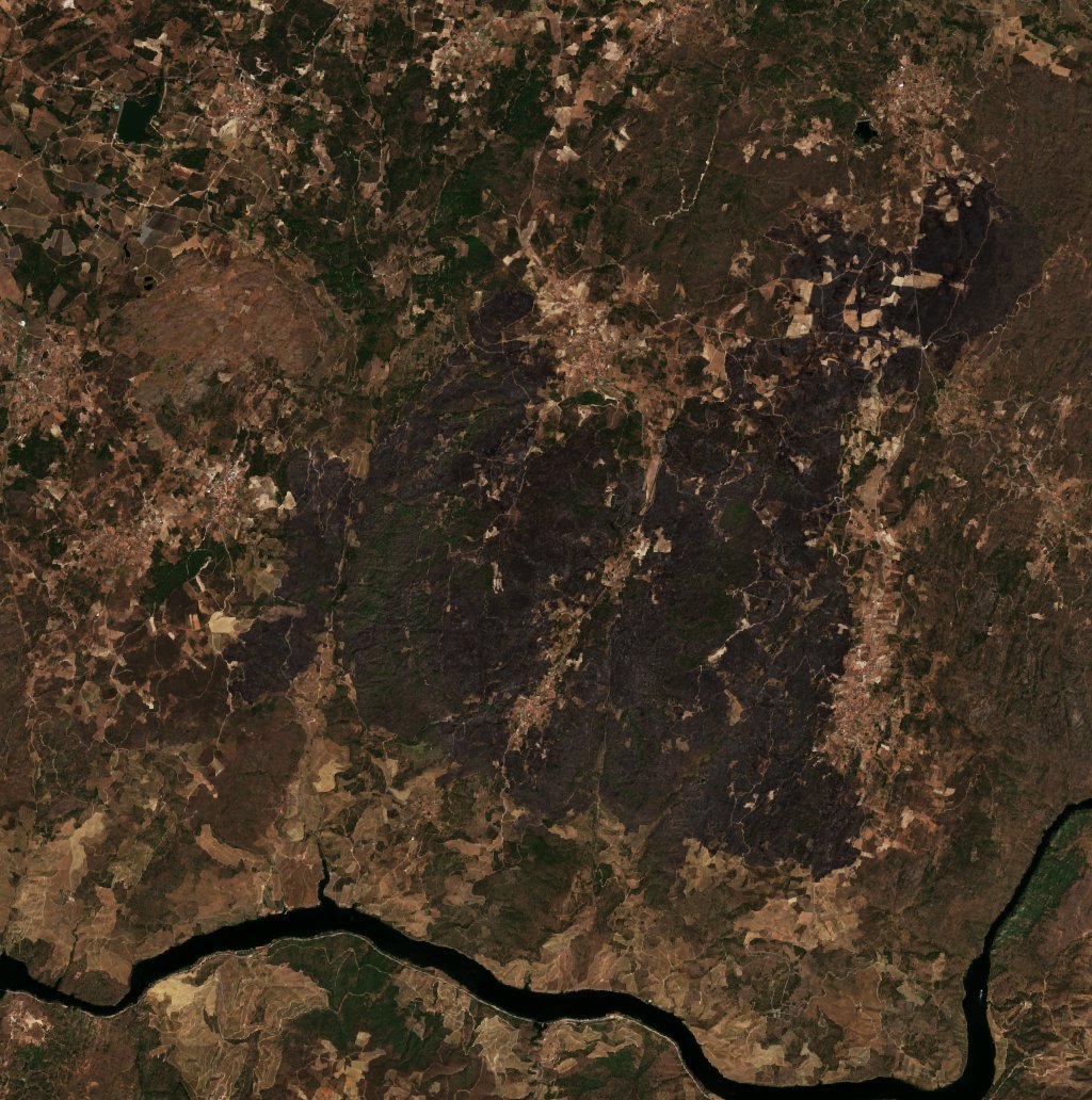 The area after the fire, August 21, 2026