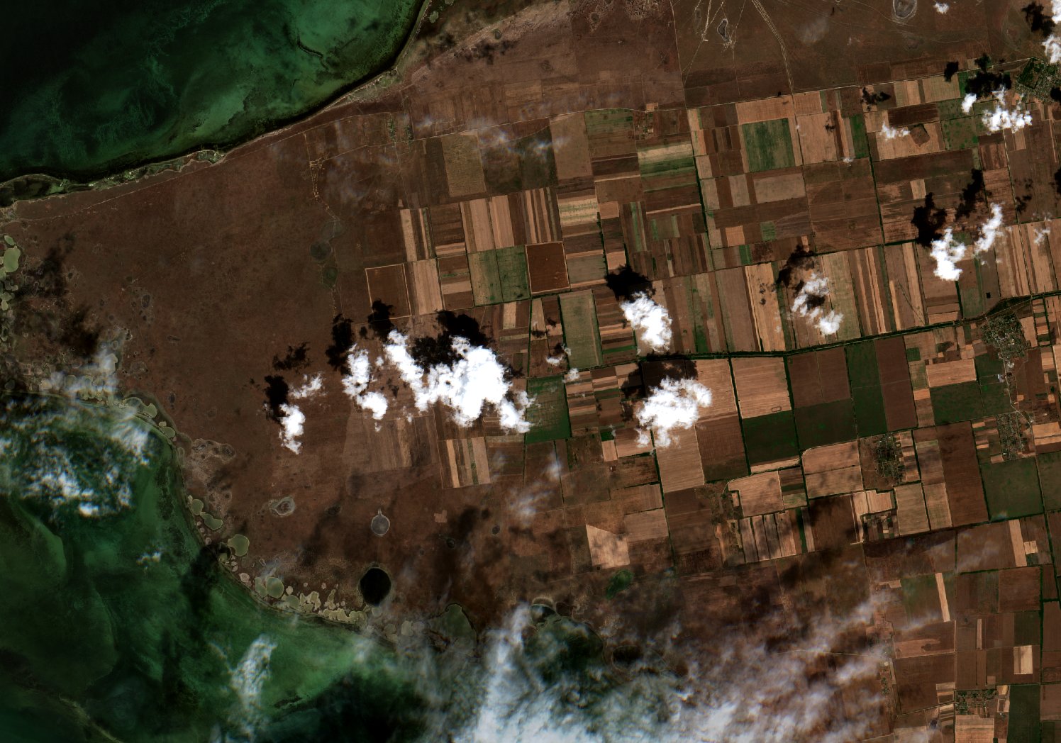 Sentinel-2 images