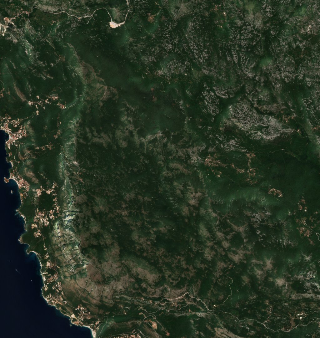 The area before the fire, July 19, 2024