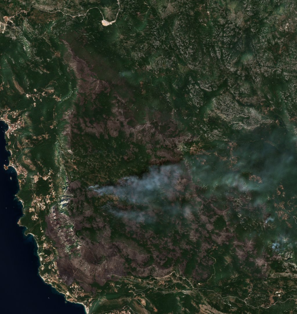 The area after the fire, August 8, 2024
