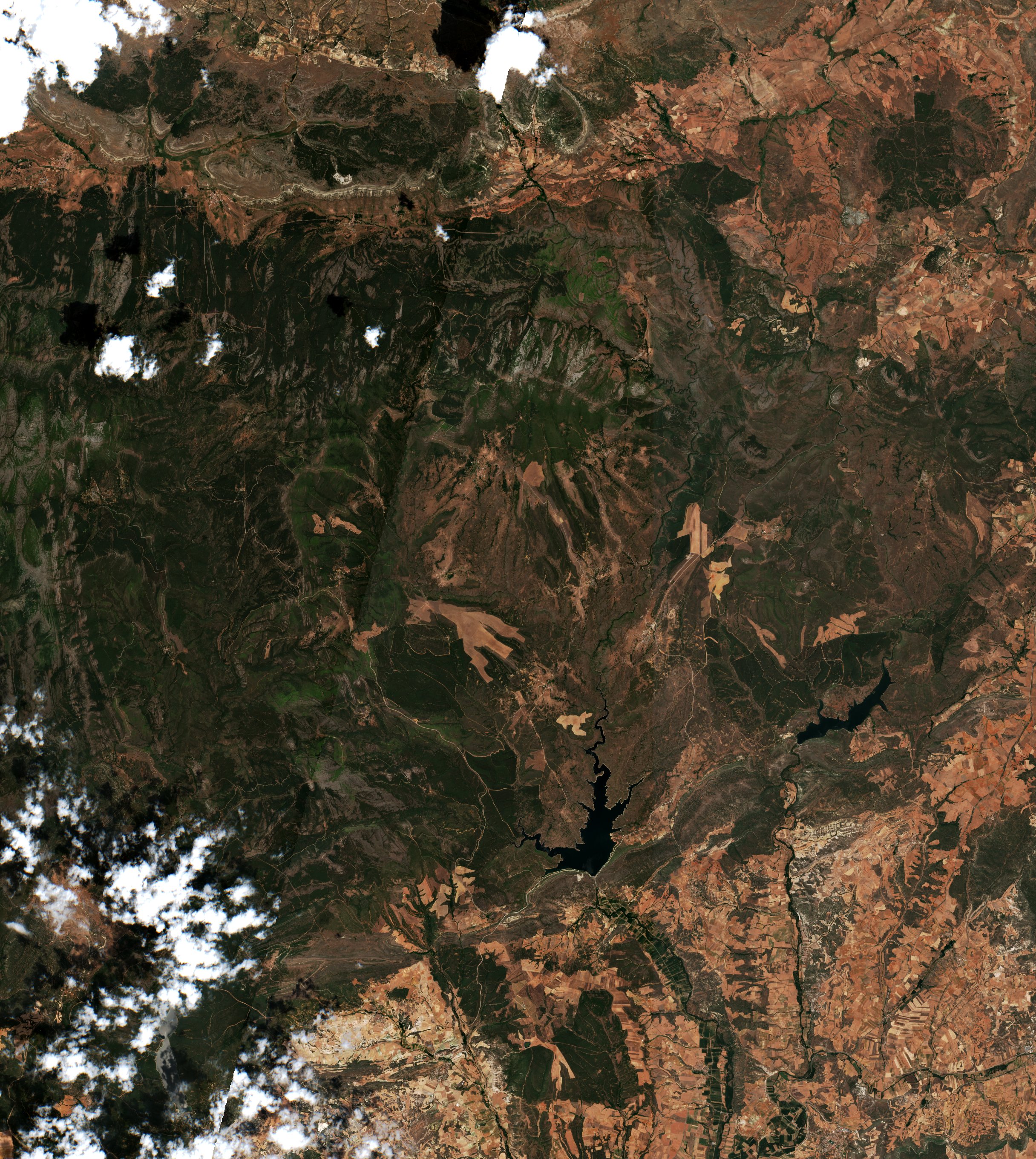 Sentinel-2 images