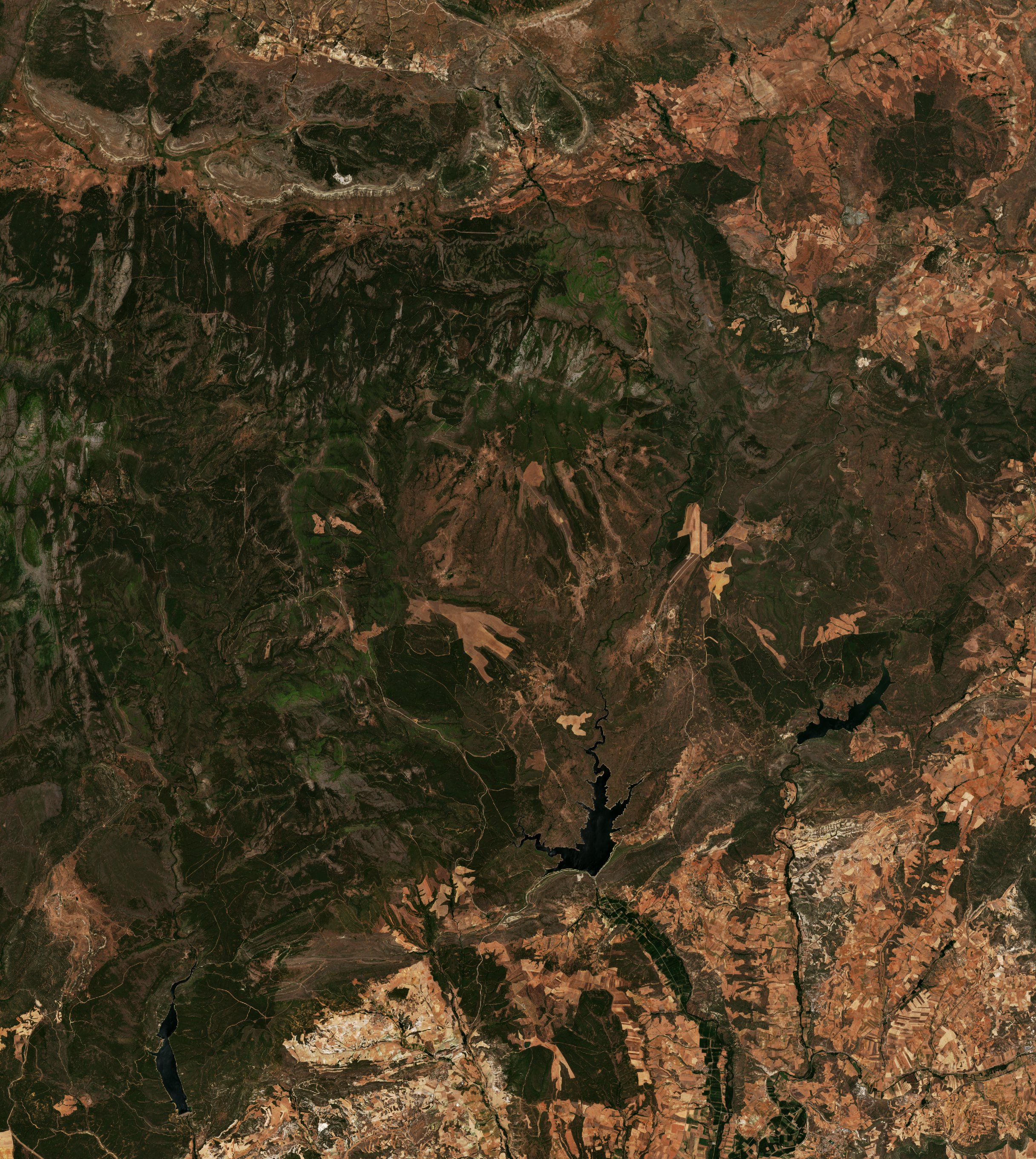 The area before the fire, July 13, 2026