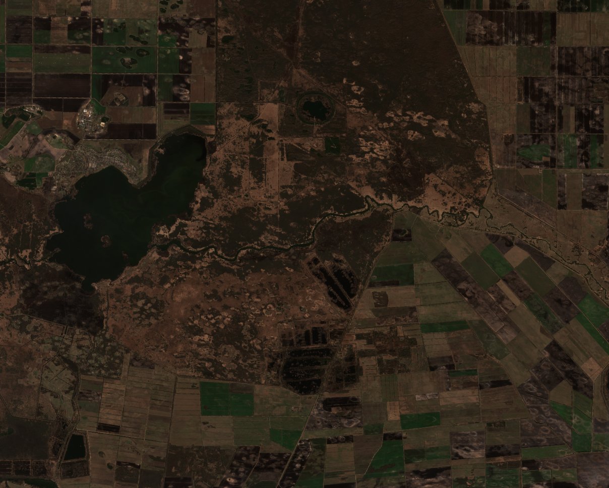 The area before the fire, March 27, 2020