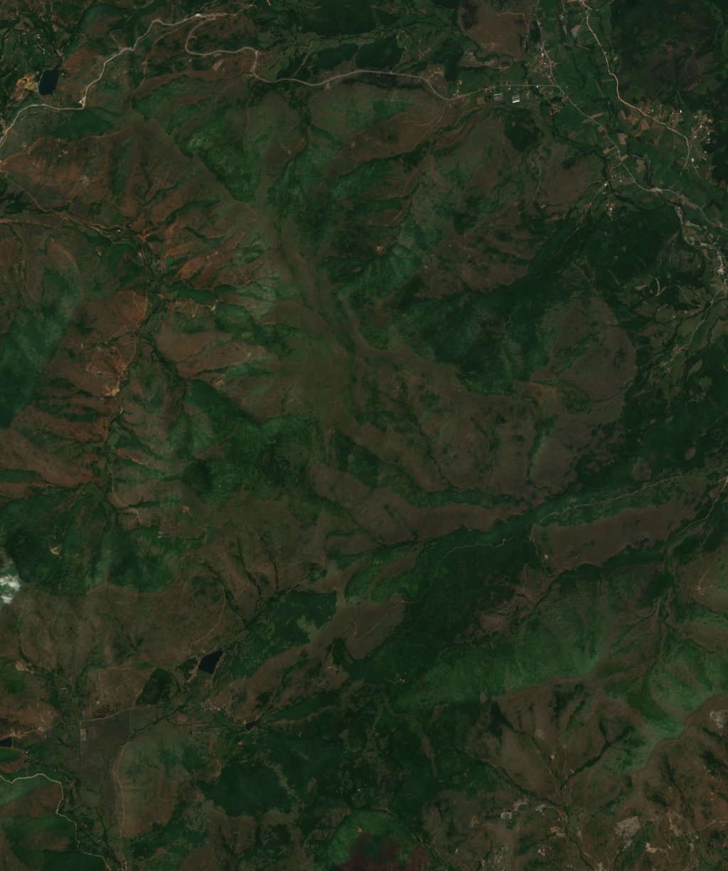 Sentinel-2 images