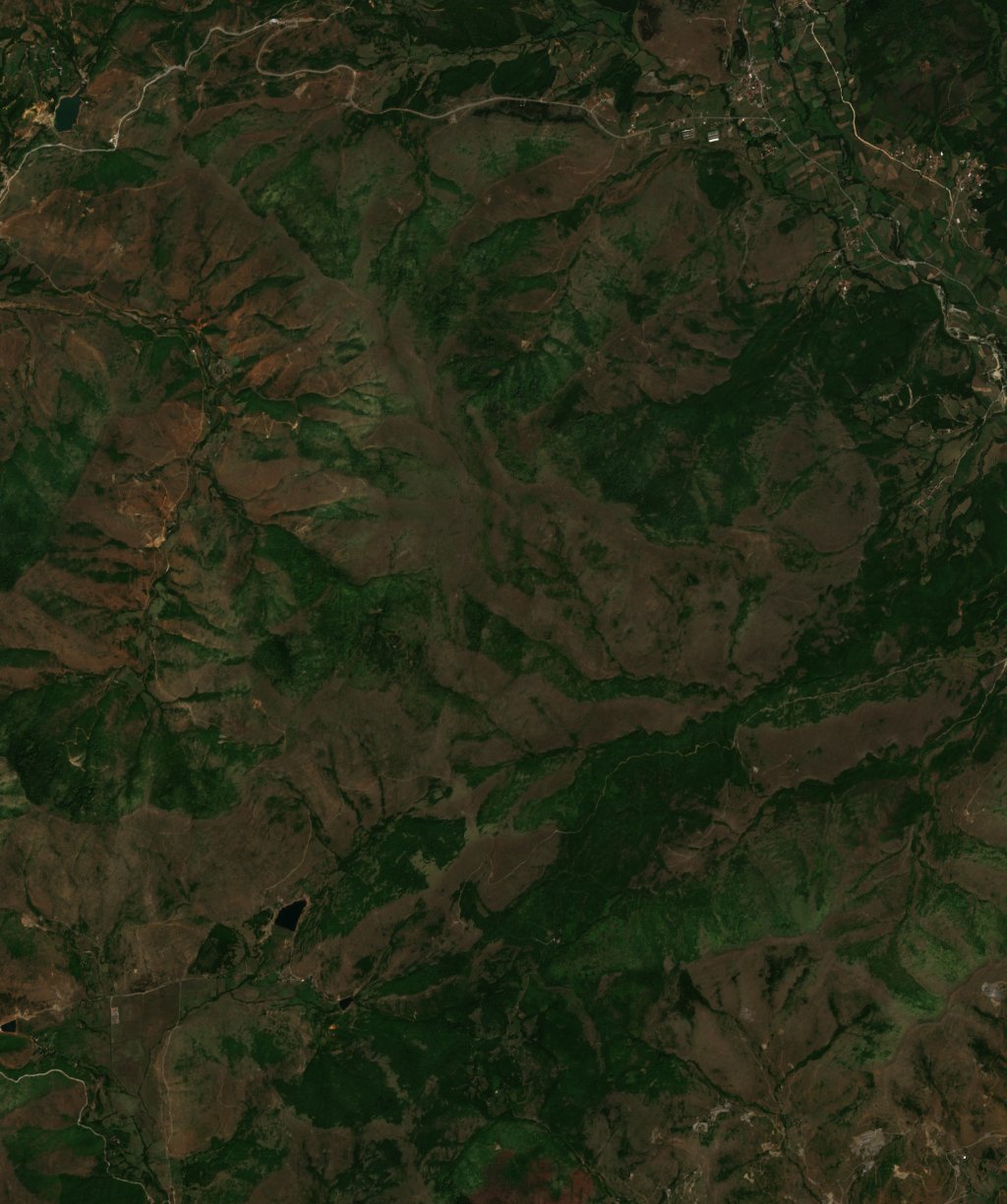 The area before the fire, August 20, 2019